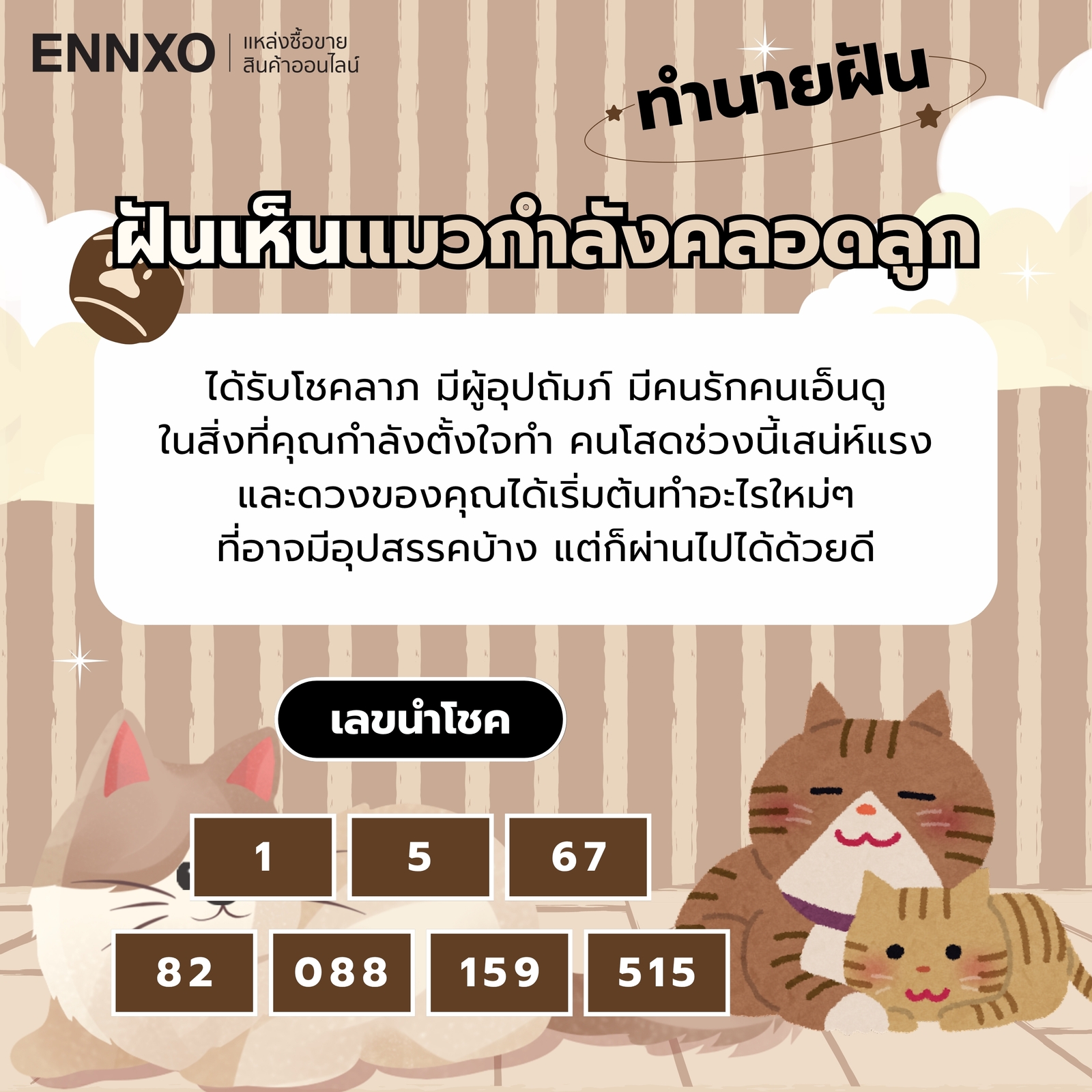 ฝันเห็นแมวกำลังคลอดลูก ความหมายและเลขเด็ด