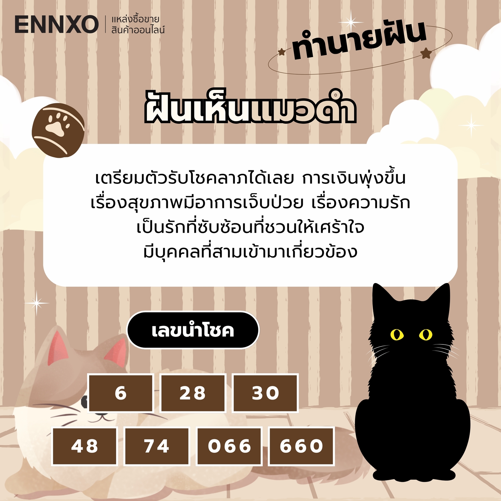 ฝันเห็นแมวดำ ความหมายและเลขเด็ด