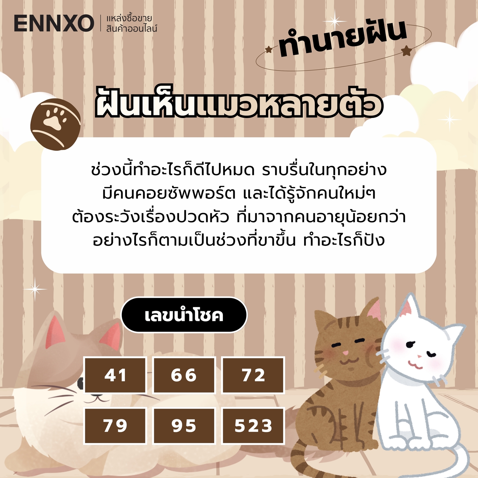 ฝันเห็นแมวหลายตัว ความหมายและเลขเด็ด