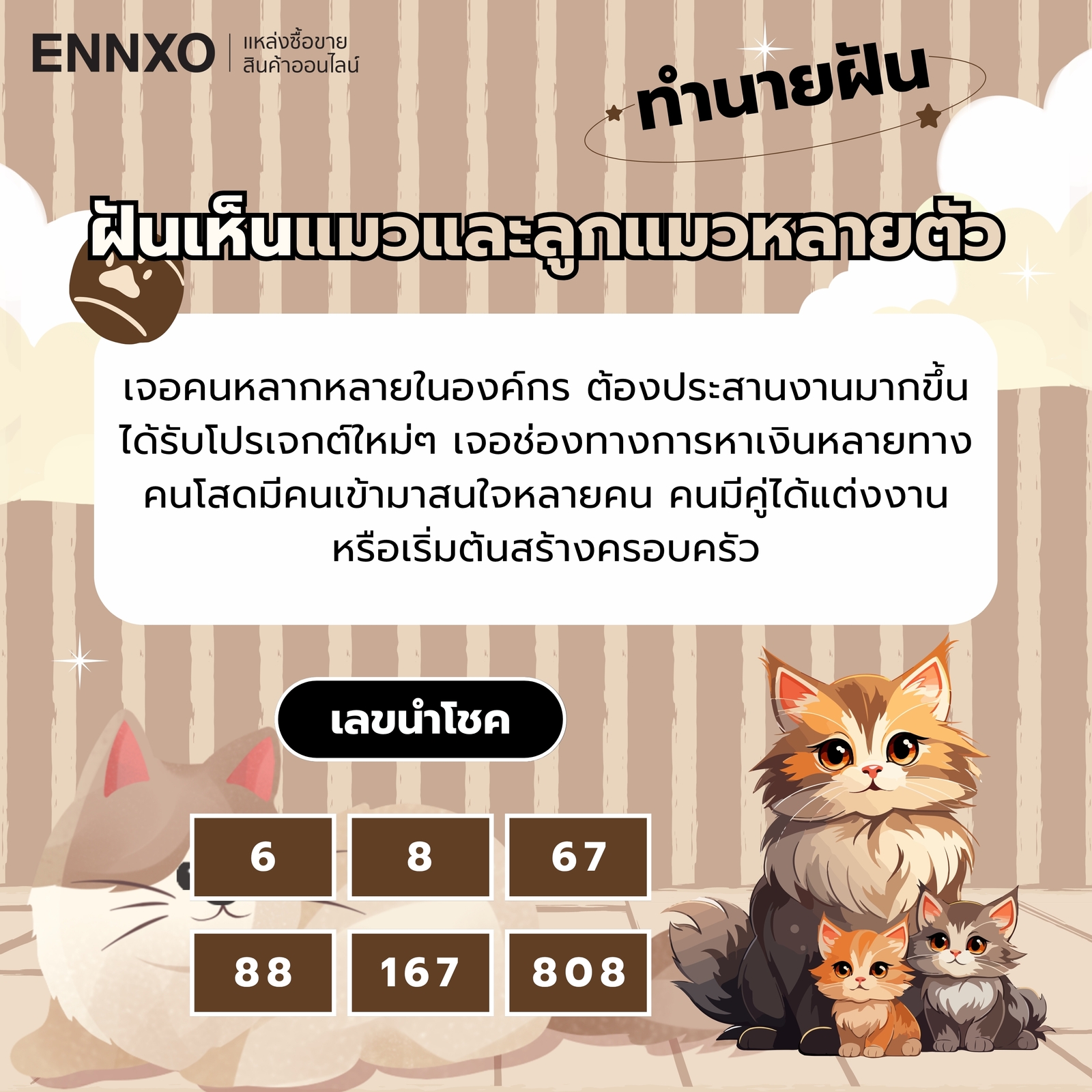 ฝันเห็นแมวและลูกแมวหลายตัว ความหมายและเลขเด็ด