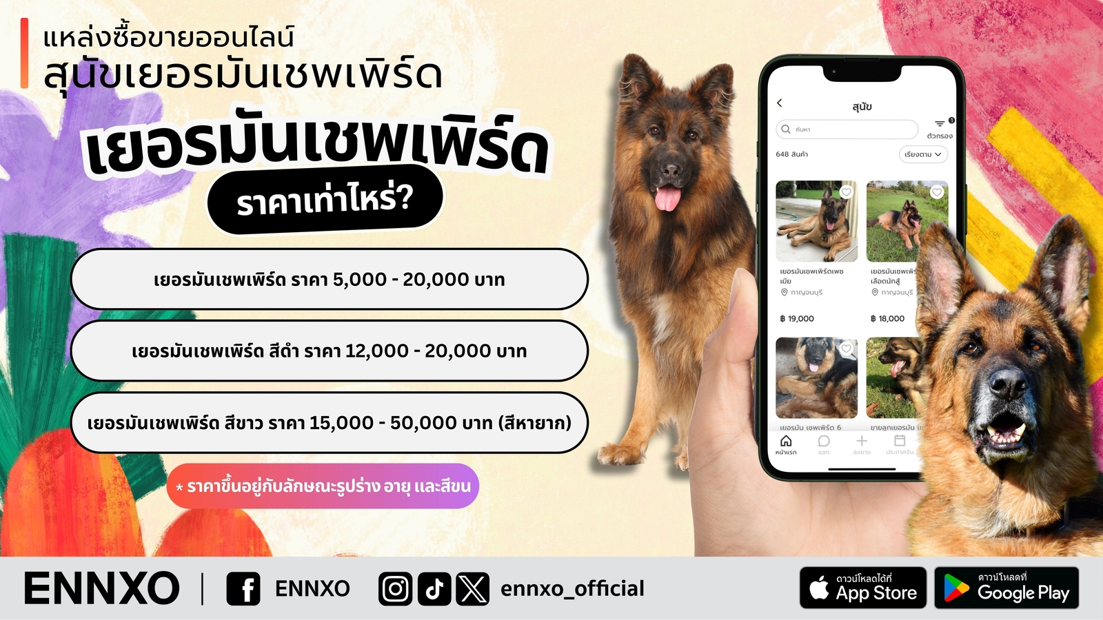 เยอรมันเชพเพิร์ดราคาล่าสุด เช็คที่ ENNXO