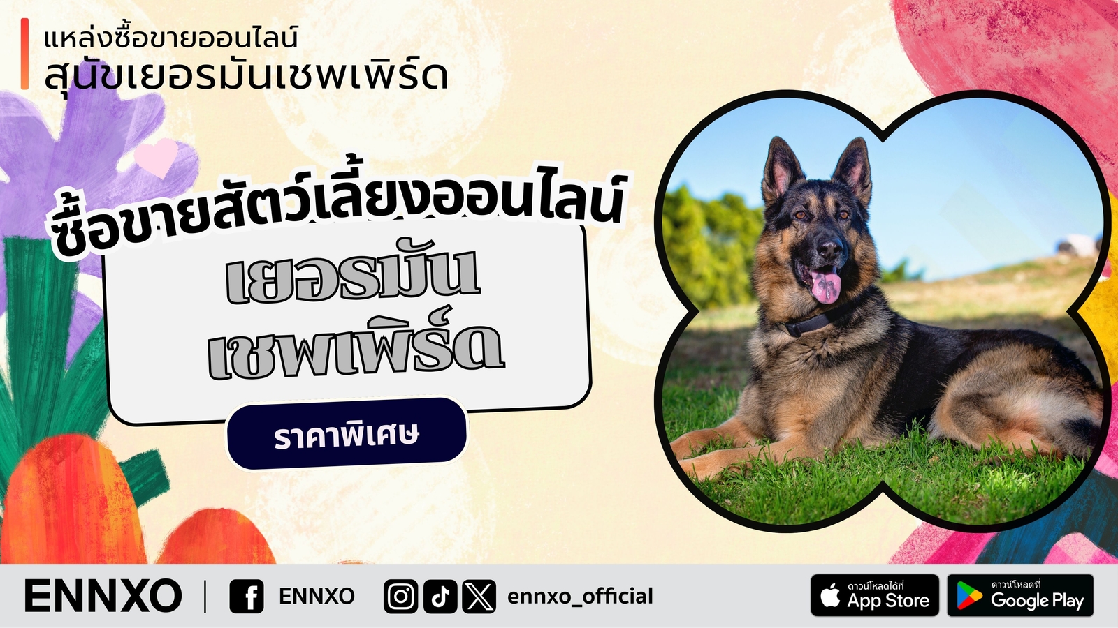 เยอรมันเชพเพิร์ดราคาเท่าไหร่ เช็คเลยที่ ENNXO